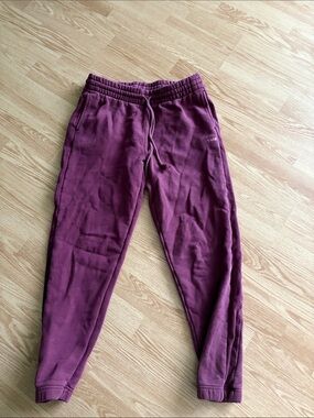TNA Burgundy Jogger Pants -Aritzia